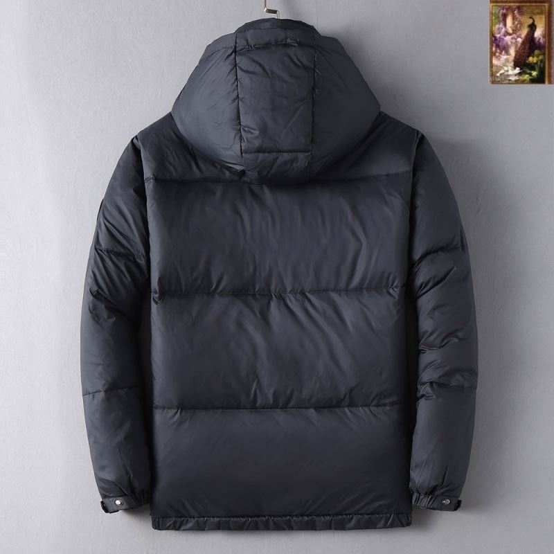 Louis Vuitton Down Jackets